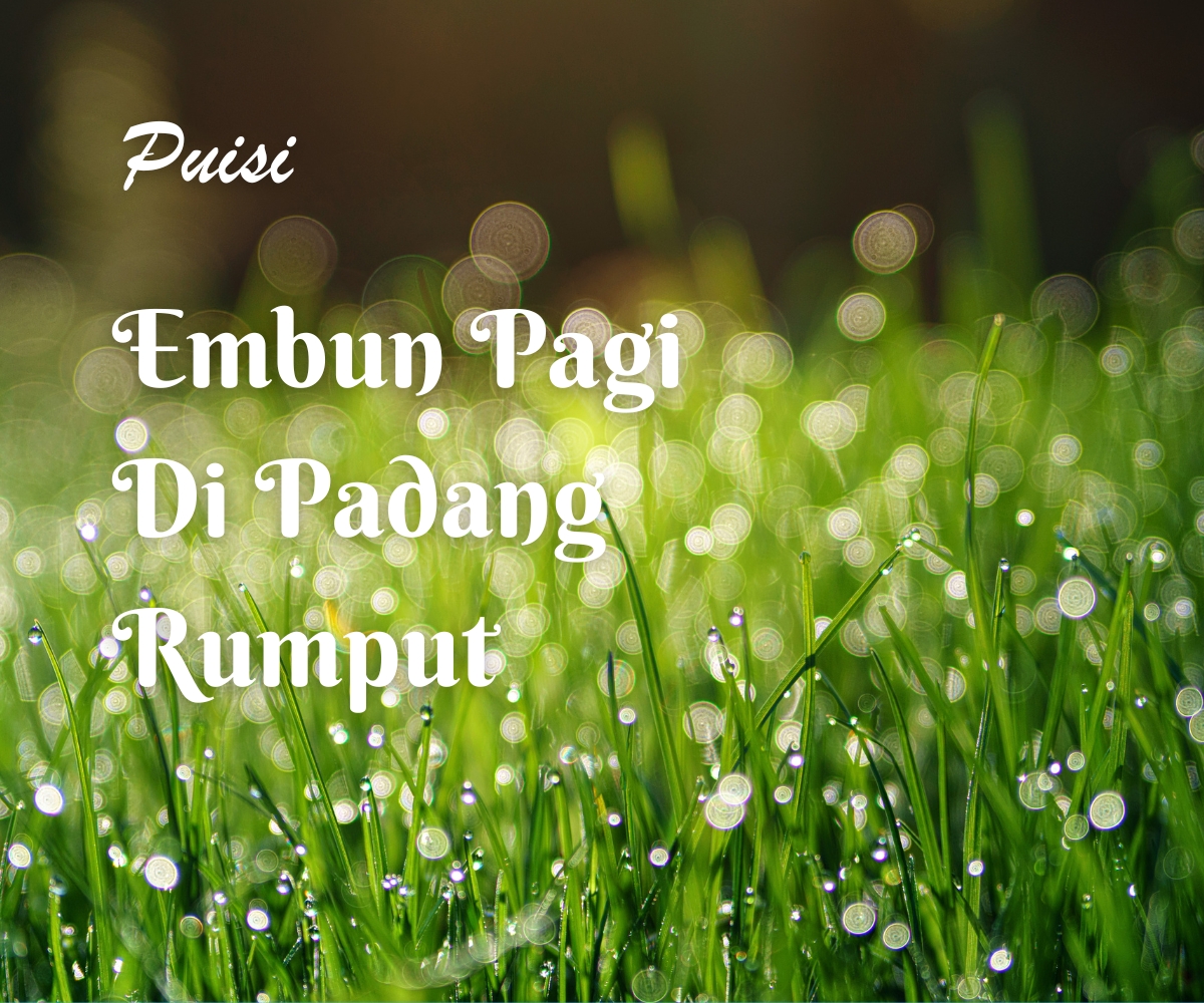 Morning Dew at Embung Sumingkir: A Calm Walk That Invites You
